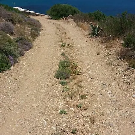 Seafront Superior 度假居